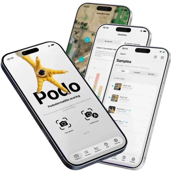 Podo app: foot scoring and welfare checks on iPhone